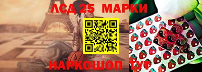 спайс Тара